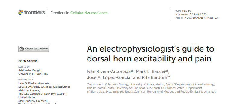 Paper title