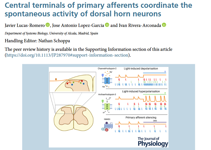 paper title and graphical abstract